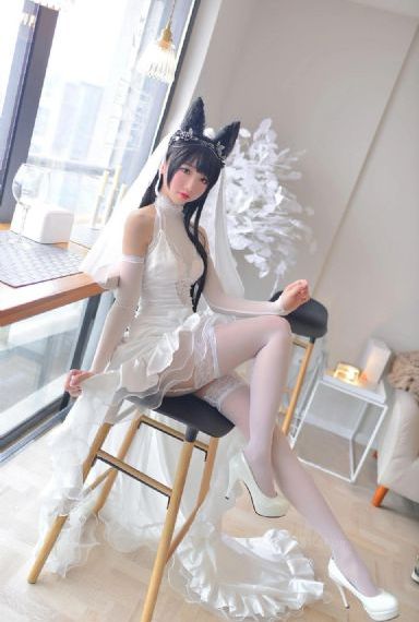 真心英雄电视剧免费观看完整版