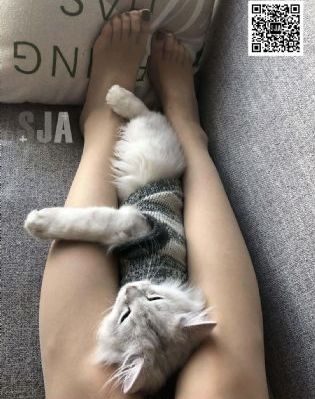 九号秘事第一季在线观看全集免费